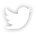 Twitters Vogel-Logo weiß mit Link zum IKT-Twitter-Profil