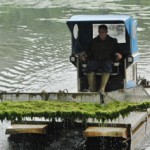 Video: Mit Amphibienfahrzeug gegen Algen im Rückhaltebecken
