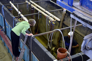Lenkungskreis-Mitglieder wagen den Blick über den Tellerrand.