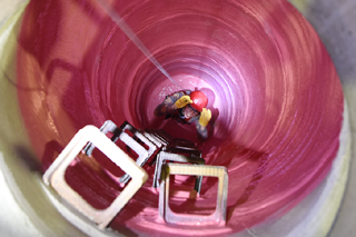 Studentin auf dem Boden eines sanierten Schachts