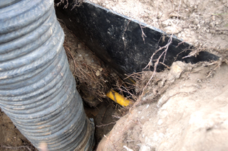 Aufgrabung einer umwurzelten Wurzelschutzplatte