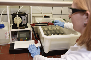 Einlagerungsversuche